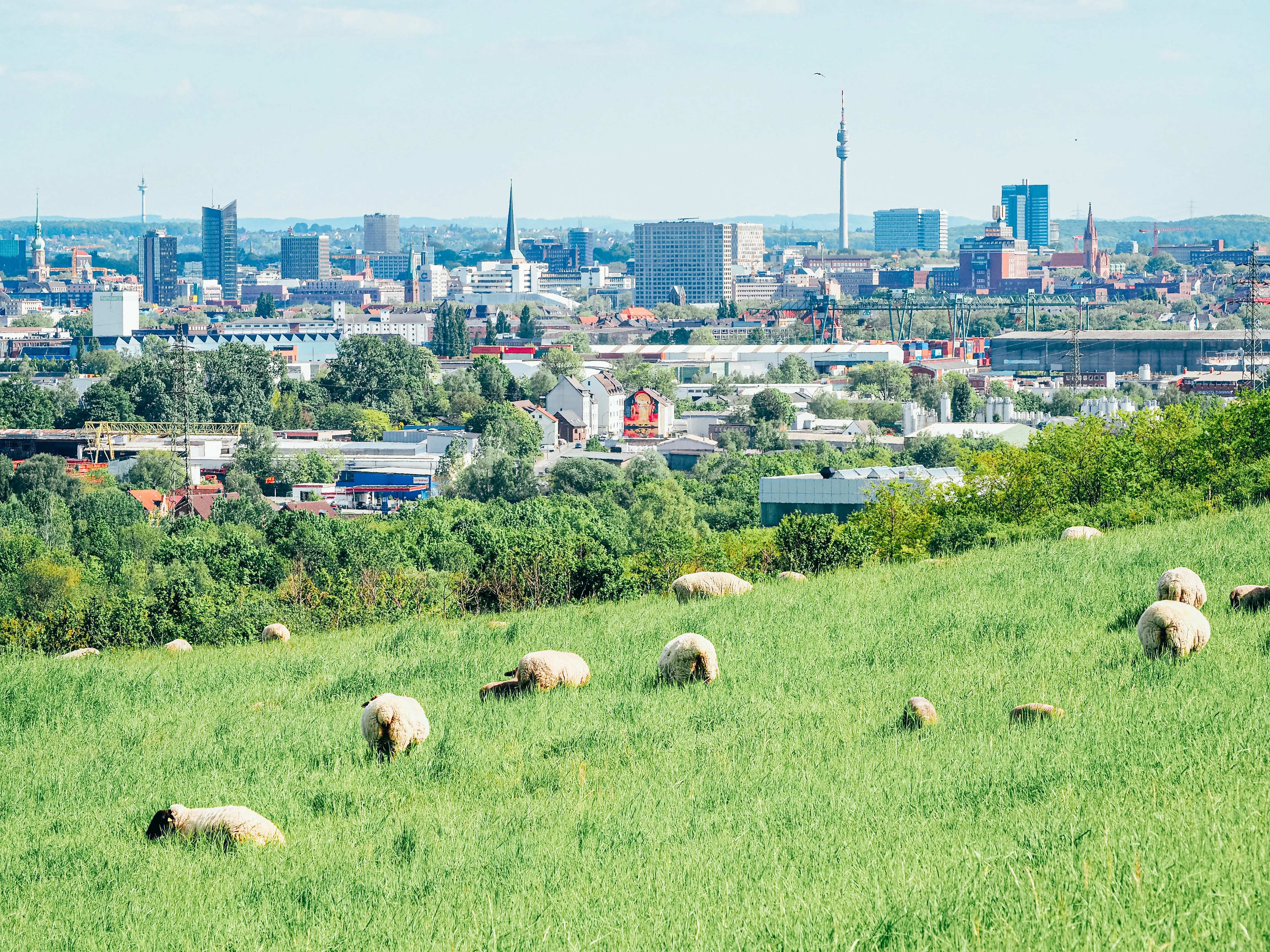 Bauschadengutachten & Verkehrswertgutachten | Dortmund