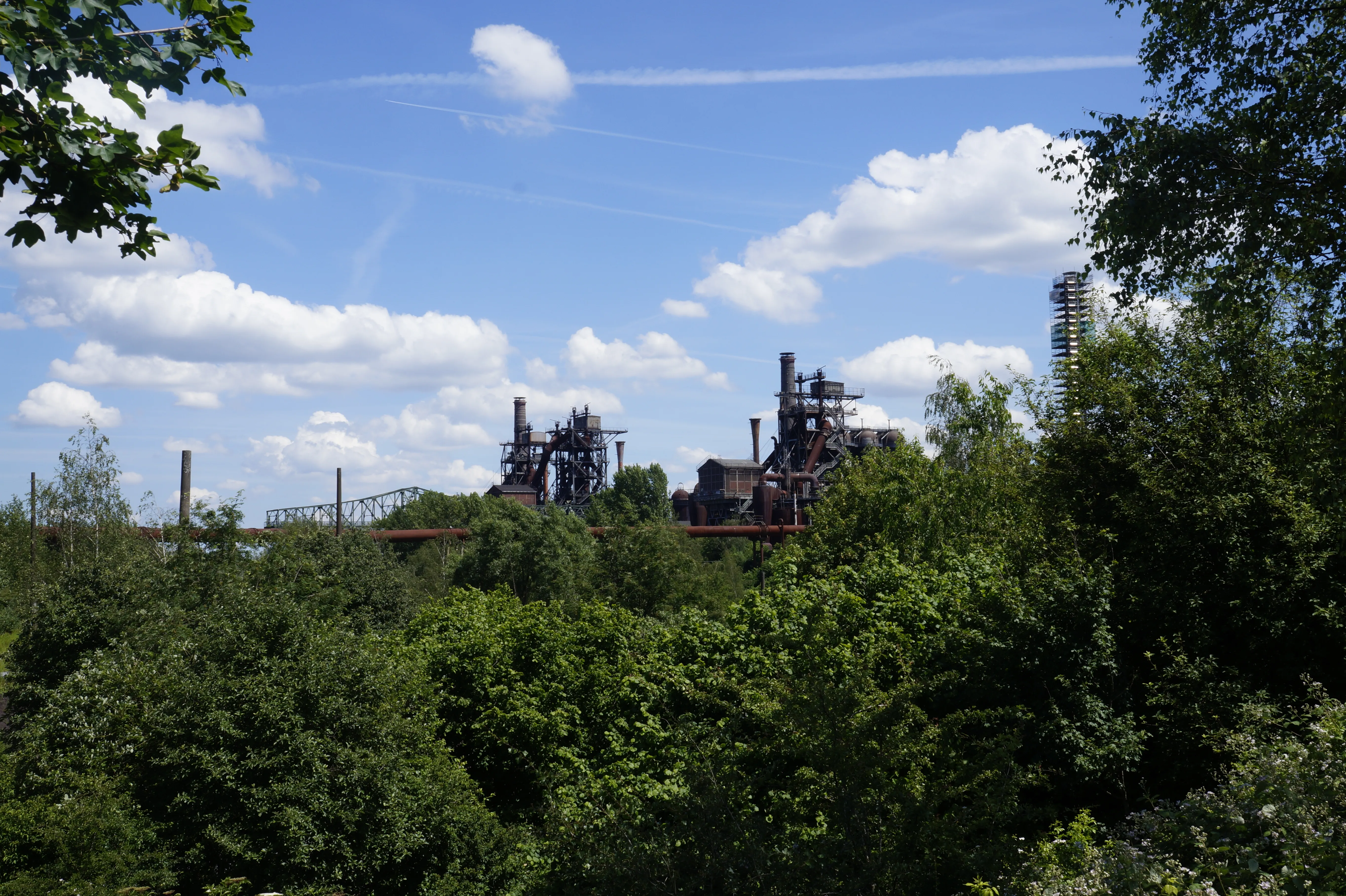 Gutachten in Duisburg